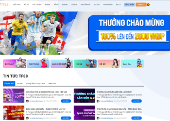 Hướng dẫn người mới tải App TF88 nhanh chóng
